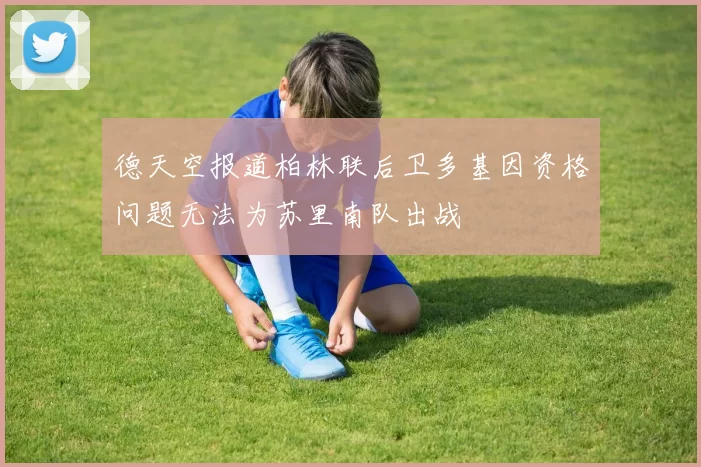 德天空报道柏林联后卫多基因资格问题无法为苏里南队出战